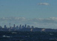 シドニー発、ホエール・ウォッチングクルーズへ出発！