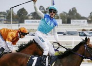 もうすぐメルボルンカップ！日本馬アドマイヤラクティが前哨戦優勝で高まる期待