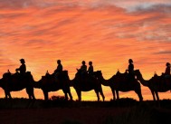 ウルルの夕暮れを愉しむサンセット・キャメル・ライド