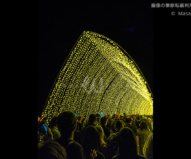 王立植物園の光のトンネル　/ ビビッド・シドニー2016