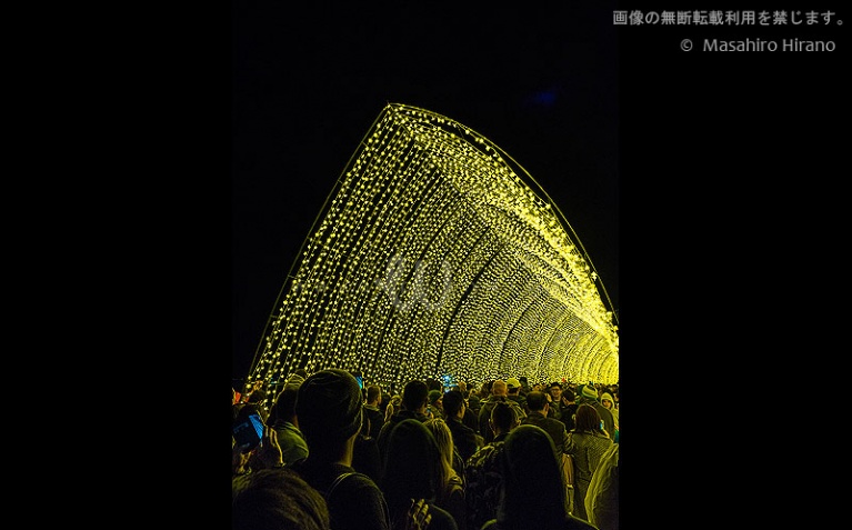 王立植物園の光のトンネル　/ ビビッド・シドニー2016