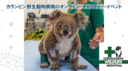 カランビン野生動物病院のオンライン・チャリティー・イベント